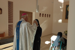 img_20260211_113922619