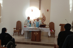 img_20260211_114959935