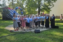 1_ii-ludowy-piknik-14