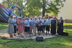 1_ii-ludowy-piknik-23