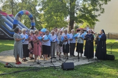 1_ii-ludowy-piknik-9