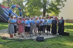 ii-ludowy-piknik-23