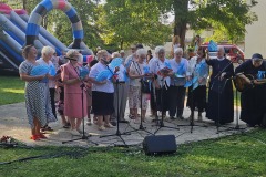 ii-ludowy-piknik-28