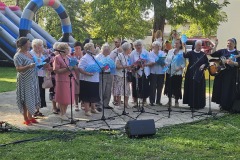 ii-ludowy-piknik-29