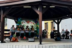 iv-ludowy-piknik-pokolen-15