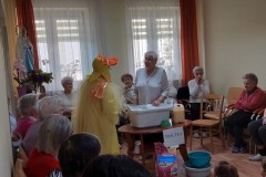 kaczka-dziwaczka-13