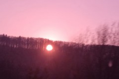img-20220217-wa0016_1