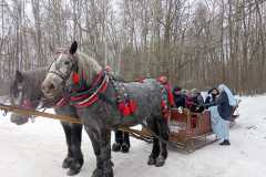 img-20260123-wa0010