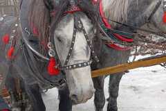 img-20260123-wa0014