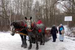 img-20260123-wa0034
