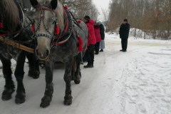 img_20260123_112053